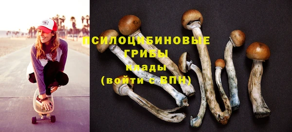 ПСИЛОЦИБИНОВЫЕ ГРИБЫ Алексин