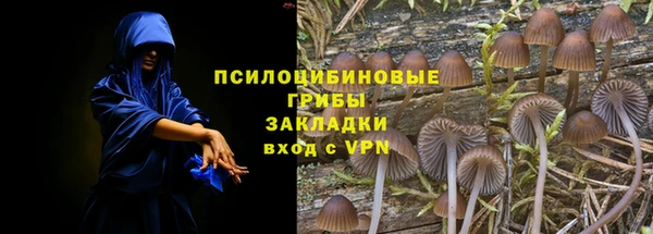 ПСИЛОЦИБИНОВЫЕ ГРИБЫ Алексин