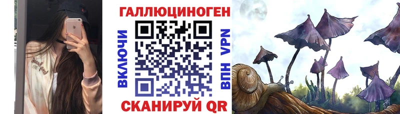 Псилоцибиновые грибы Cubensis кракен как войти Южно-Сахалинск цены наркотик